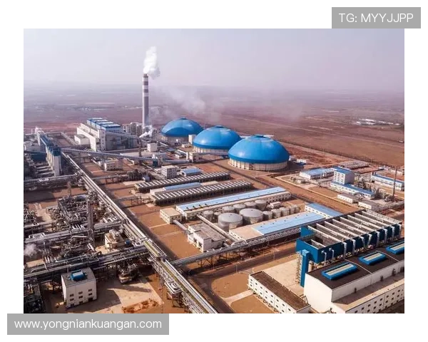 开云集团旗下品牌的全面介绍与发展历程解析