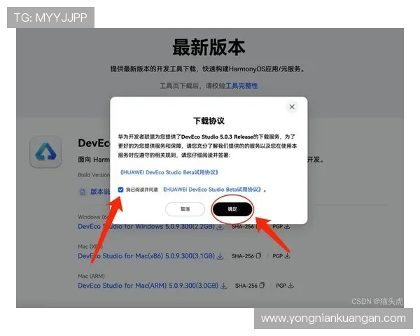 开云手机版下载地址详细介绍，快速下载安装流程全攻略